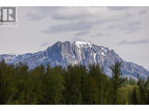 4103 Hill Road, Fernie, BC - Outdoor With View