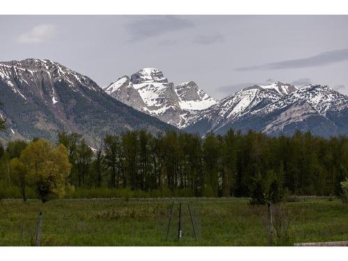 4103 Hill Road, Fernie, BC - Outdoor With View