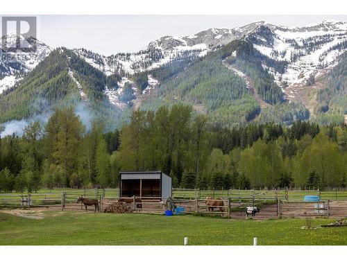 4103 Hill Road, Fernie, BC - Outdoor With View