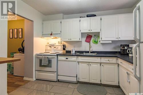 201 459 Pendygrasse Road, Saskatoon, SK - Indoor Photo Showing Kitchen