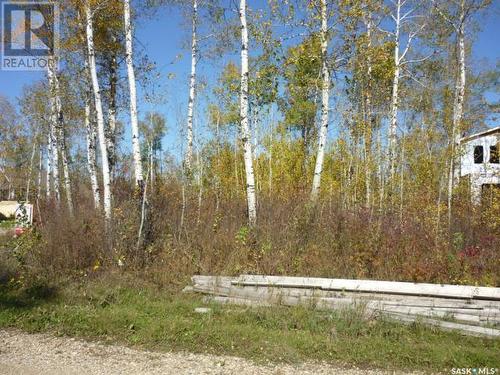 Lot 14 Barney'S Bay, Struthers Lake, Wakaw, SK 