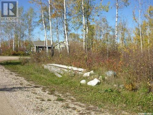 Lot 14 Barney'S Bay, Struthers Lake, Wakaw, SK 