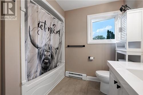 268 Wade Avenue, Renfrew, ON - Indoor Photo Showing Bathroom