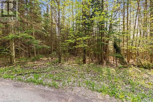 132 Southview Lane, Grey Highlands, ON 