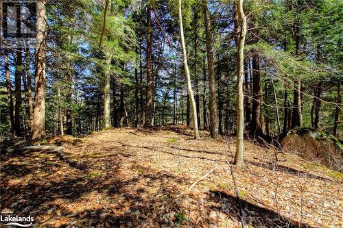 Lot#70 Pine Crescent, Huntsville, ON 