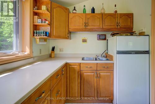 219 Monarch Lane, South Frontenac, ON - Indoor Photo Showing Kitchen With Double Sink