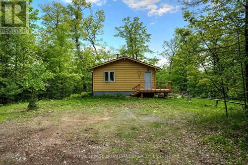 219 Monarch Lane, South Frontenac, ON - Outdoor