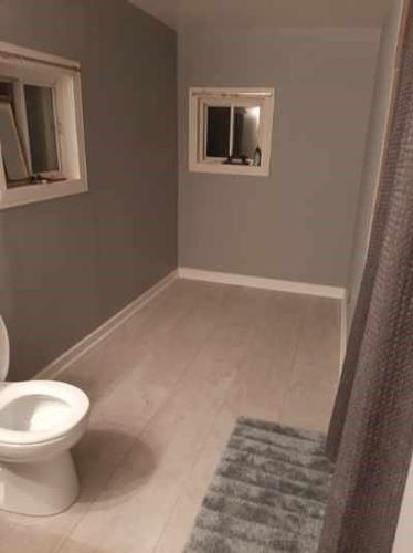 577 King Street, Welland, ON - Indoor Photo Showing Bathroom