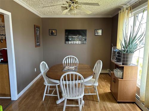 15 Wood Crescent, Gander, NL 