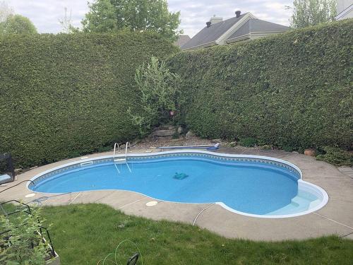 Pool - 71 Rue De La Pulperie, Saint-Jérôme, QC - Outdoor With In Ground Pool With Backyard