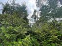 Lot 40 Cedar Grove Pl, Ucluelet, BC 