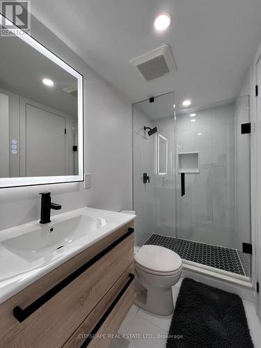 194 Manning Avenue, Toronto, ON - Indoor Photo Showing Bathroom
