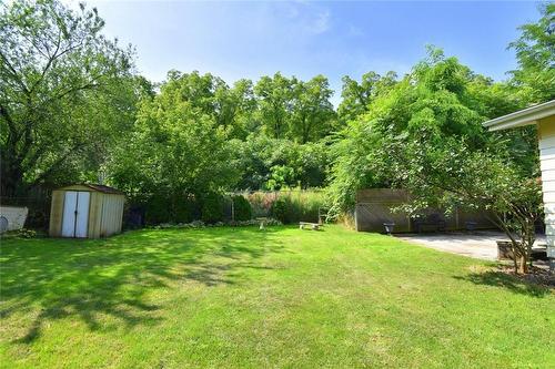 217 Grant Avenue, Hamilton, ON - Outdoor With Backyard