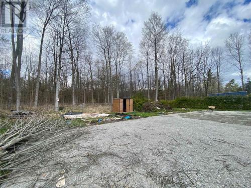 428 Limerick Street, Innisfil, ON - Outdoor With View