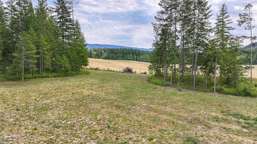 250 Gunter Ellison Road, Enderby, BC - Outdoor With View