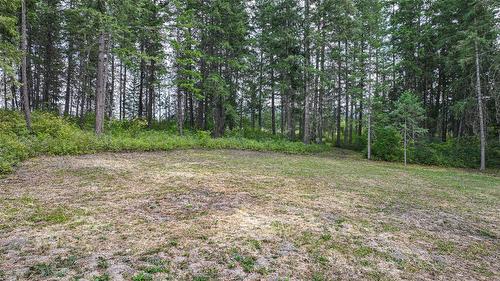 250 Gunter Ellison Road, Enderby, BC - Outdoor