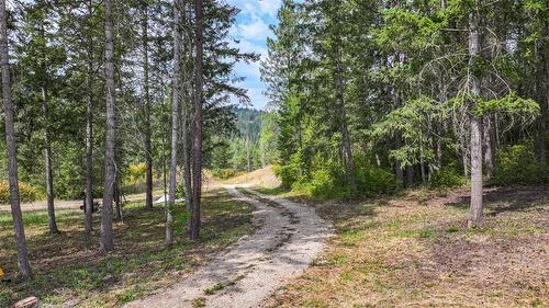 250 Gunter Ellison Road, Enderby, BC - Outdoor With View