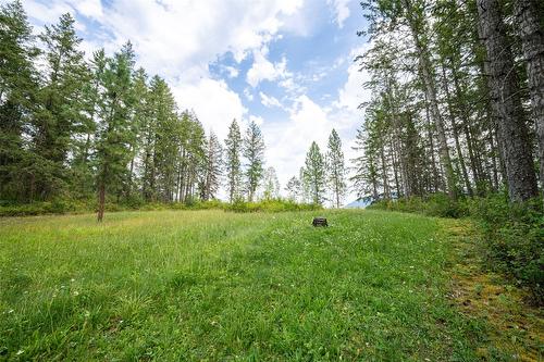 250 Gunter Ellison Road, Enderby, BC - Outdoor With View