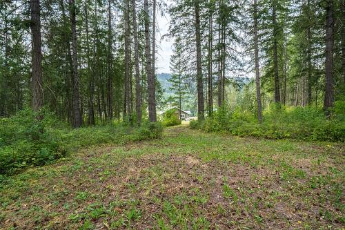 250 Gunter Ellison Road, Enderby, BC - Outdoor