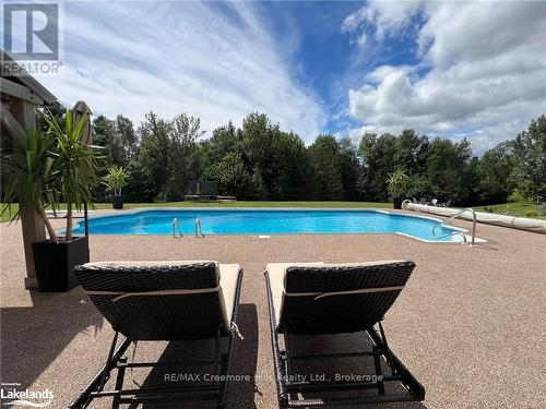 2332 Centre Line, Clearview, ON - Outdoor With In Ground Pool With Backyard