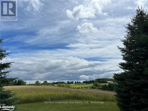 2332 Centre Line, Clearview, ON - Outdoor With View