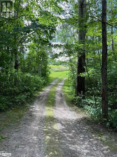 2332 Centre Line, Clearview, ON - Outdoor With View