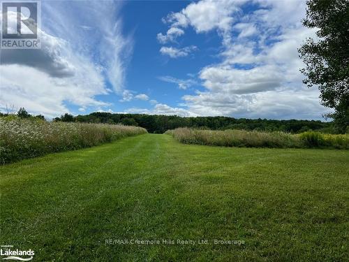 2332 Centre Line, Clearview, ON - Outdoor With View