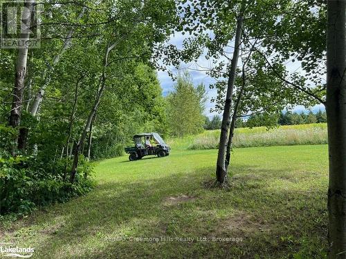 2332 Centre Line, Clearview, ON - Outdoor With View