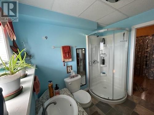 941 Oceanview Drive, Cape St. George, NL - Indoor Photo Showing Bathroom