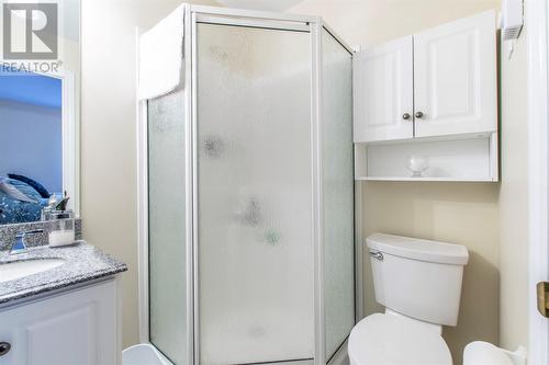 91 Halley Drive, St. John'S, NL - Indoor Photo Showing Bathroom