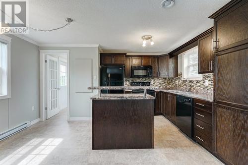 199 Old Cabot Highway, Chapel Arm, NL - Indoor Photo Showing Kitchen With Upgraded Kitchen