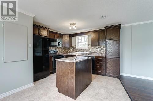 199 Old Cabot Highway, Chapel Arm, NL - Indoor Photo Showing Kitchen