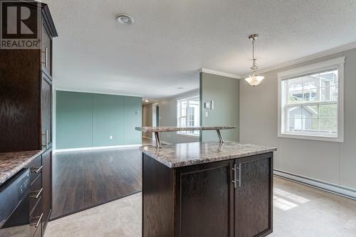 199 Old Cabot Highway, Chapel Arm, NL - Indoor Photo Showing Kitchen