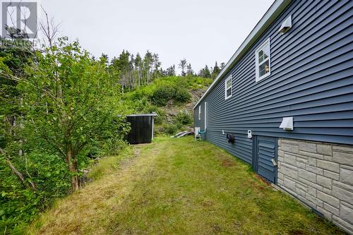 199 Old Cabot Highway, Chapel Arm, NL - Outdoor