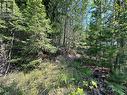 Lot 131 Aspen Road, Anglemont, BC 