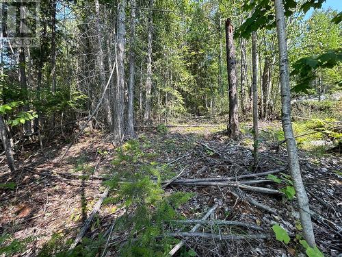 Lot 131 Aspen Road, Anglemont, BC 