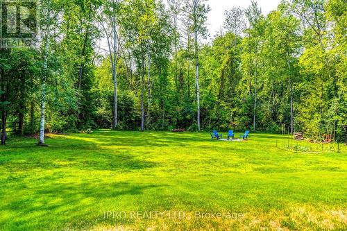 26010 Mccowan Road, Georgina (Sutton & Jackson'S Point), ON - Outdoor