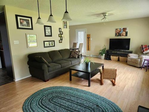 920 Burrows Road, Mccreary, MB - Indoor Photo Showing Living Room