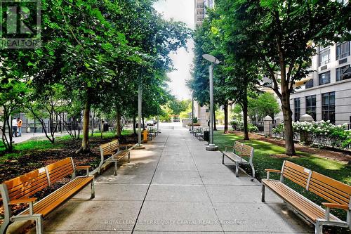 2002 - 4978 Yonge Street, Toronto (Lansing-Westgate), ON - Outdoor