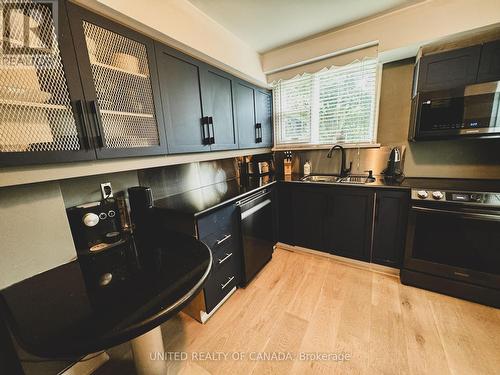 178 Three Valleys Drive, Toronto (Parkwoods-Donalda), ON - Indoor Photo Showing Kitchen With Double Sink