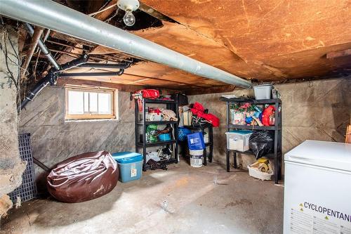 25 Chestnut Avenue, Hamilton, ON - Indoor Photo Showing Garage