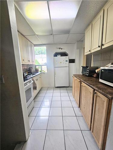 25 Chestnut Avenue, Hamilton, ON - Indoor Photo Showing Kitchen