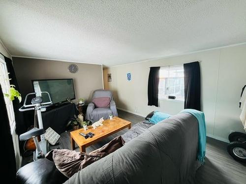 #48-478 Rabbit Lake Rd, Kenora, ON - Indoor Photo Showing Living Room