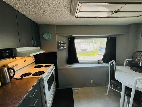 #48-478 Rabbit Lake Rd, Kenora, ON - Indoor Photo Showing Kitchen