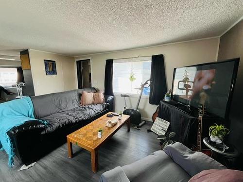 #48-478 Rabbit Lake Rd, Kenora, ON - Indoor Photo Showing Living Room