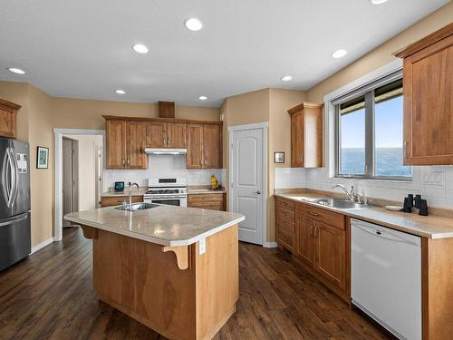 528 Trillium Way, Kamloops, BC - Indoor Photo Showing Kitchen With Double Sink