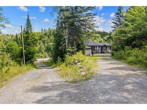 Backyard - 1613 Ch. Du Village, Saint-Adolphe-D'Howard, QC - Outdoor With View