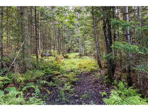 Land/Lot - 1613 Ch. Du Village, Saint-Adolphe-D'Howard, QC - Outdoor