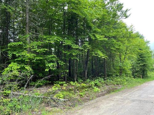 Land/Lot - Ch. Des Malards, Nominingue, QC 