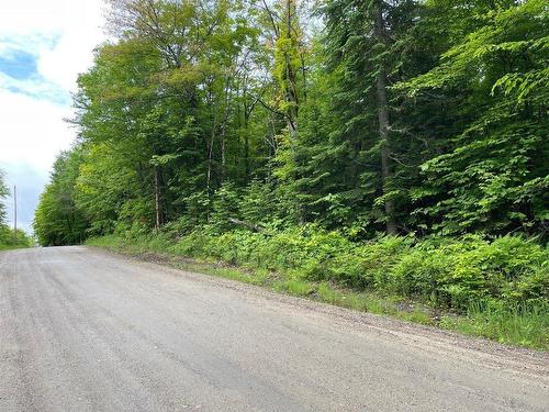 Land/Lot - Ch. Des Malards, Nominingue, QC 